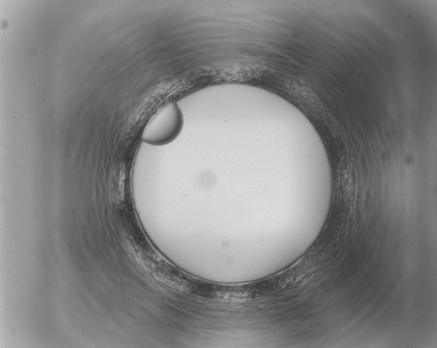 X0000054440694200508270013