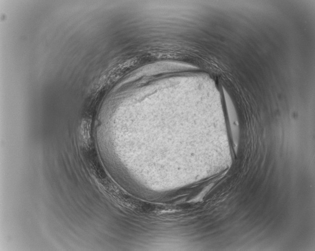 X0000054440695200508270013