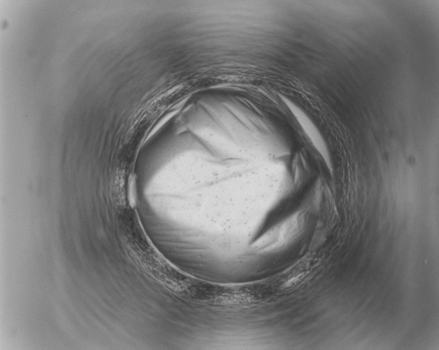 X0000054440696200508270013