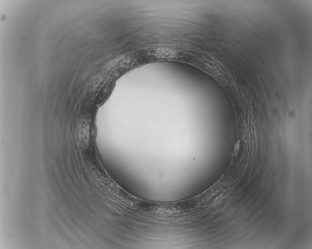 X0000054440697200508270013