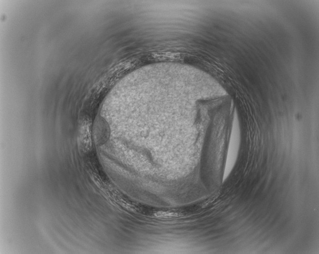 X0000054440699200508270013