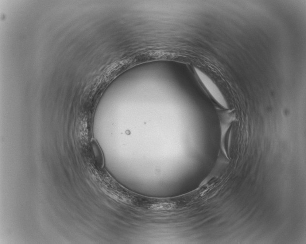 X0000054440700200508270013