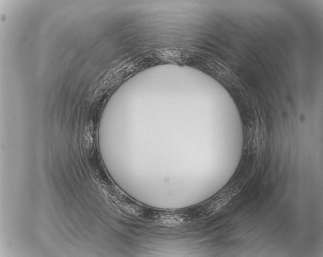 X0000054440702200508270013