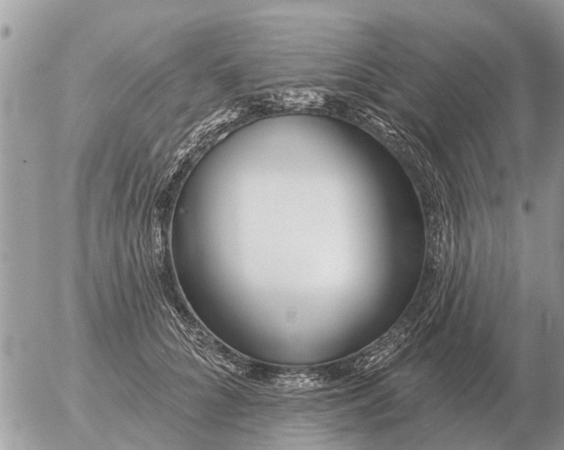 X0000054440704200508270013