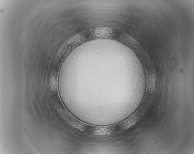 X0000054440705200508270013