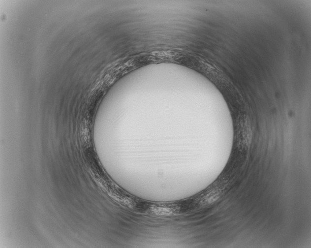 X0000054440706200508270013