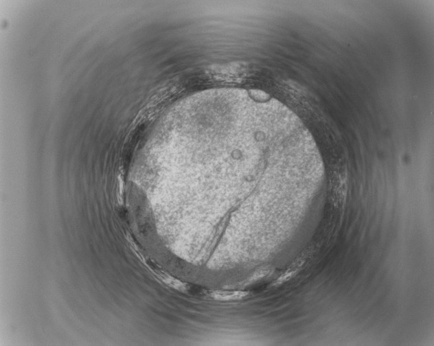 X0000054440707200508270013