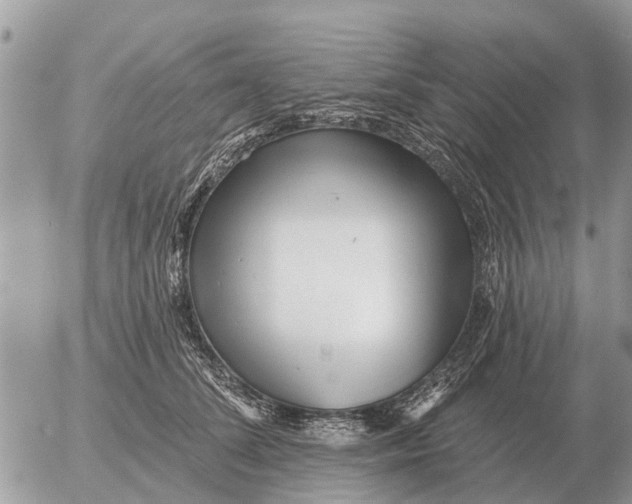 X0000054440708200508270013