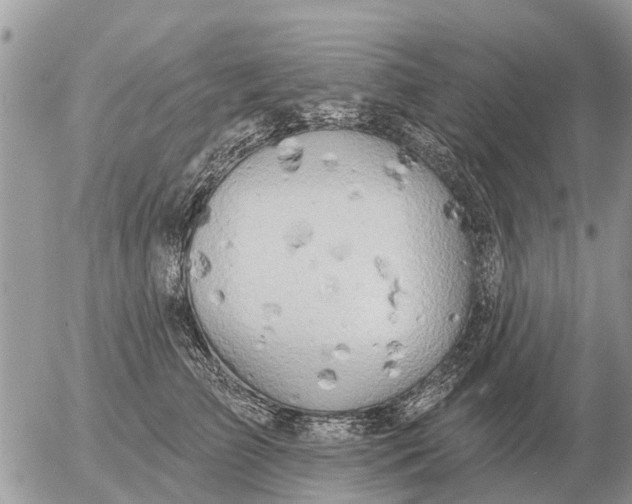 X0000054440709200508270013