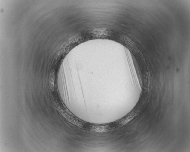 X0000054440710200508270013