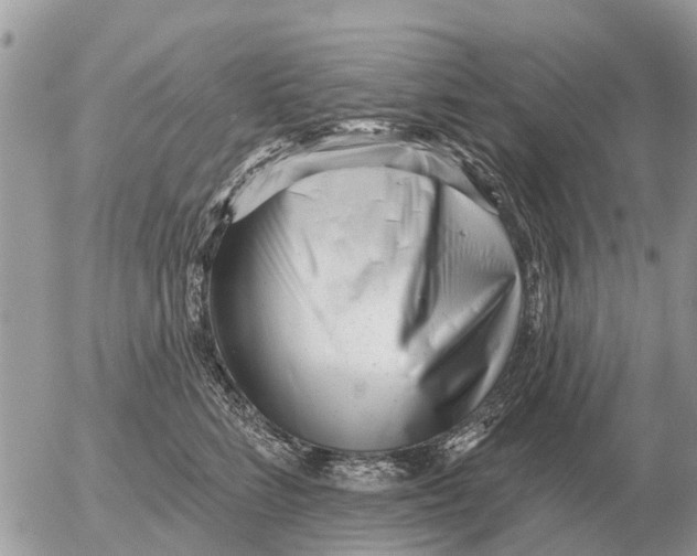 X0000054440712200508270013