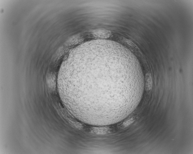 X0000054440713200508270013