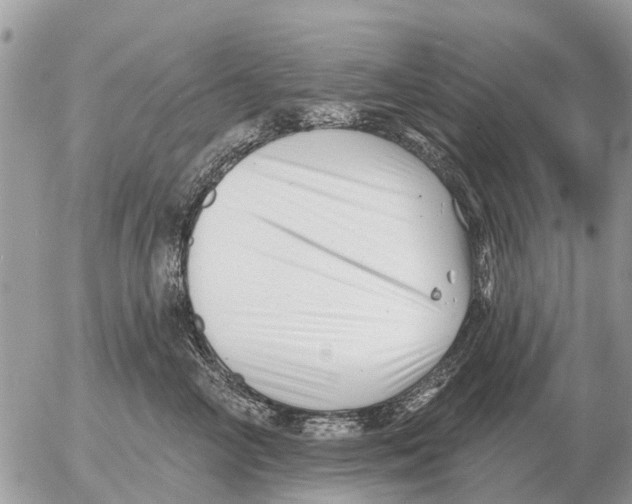 X0000054440714200508270013