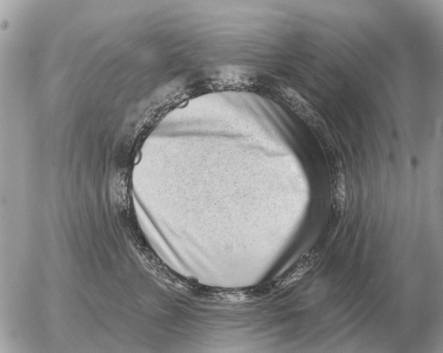 X0000054440715200508270013