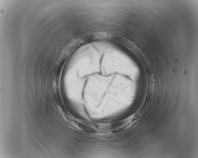 X0000054440716200508270013