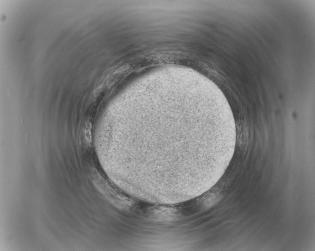 X0000054440718200508270012