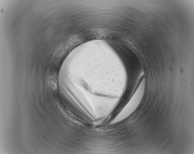 X0000054440719200508270012