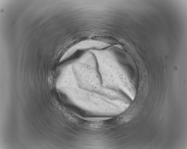 X0000054440720200508270012