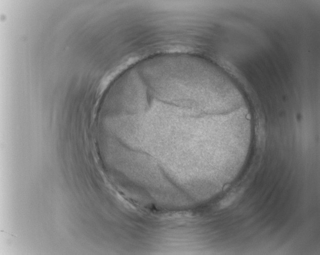 X0000054440721200508270012