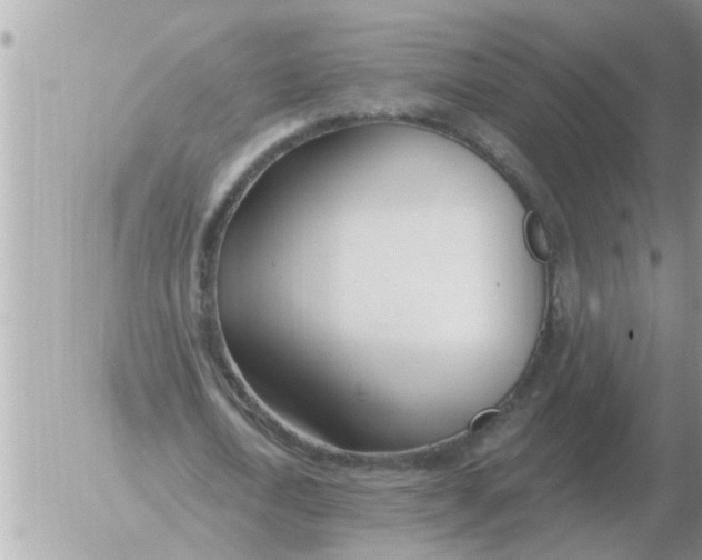 X0000054440722200508270012