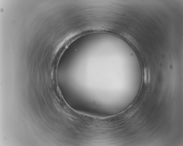 X0000054440723200508270012