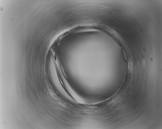 X0000054440724200508270012