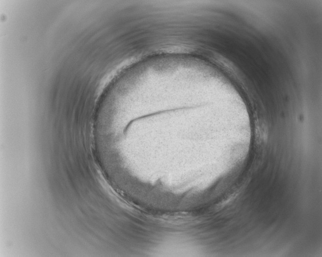 X0000054440725200508270012