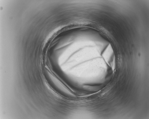 X0000054440726200508270012