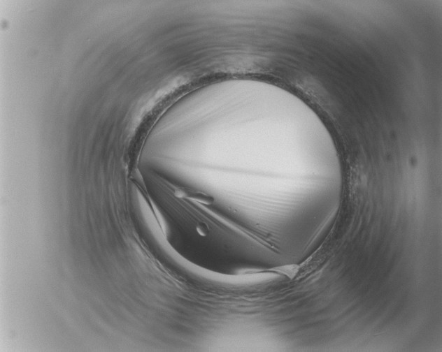 X0000054440727200508270012