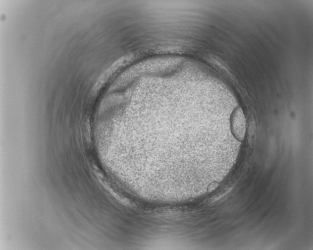 X0000054440729200508270012