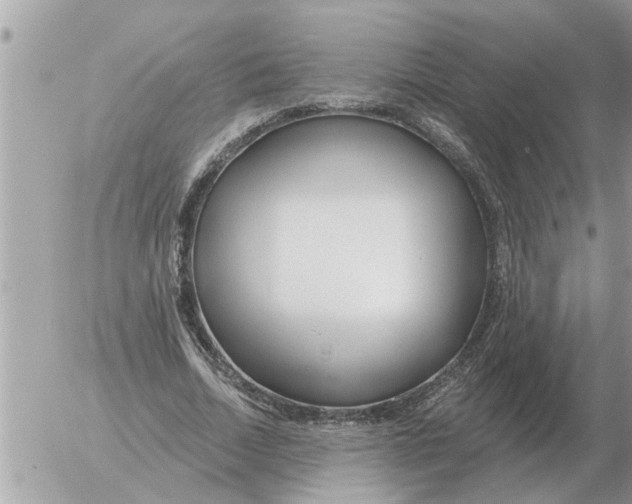 X0000054440730200508270012