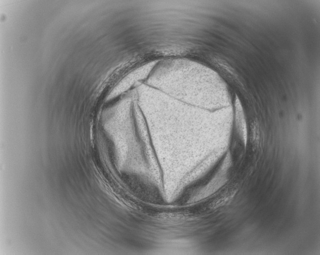 X0000054440733200508270012