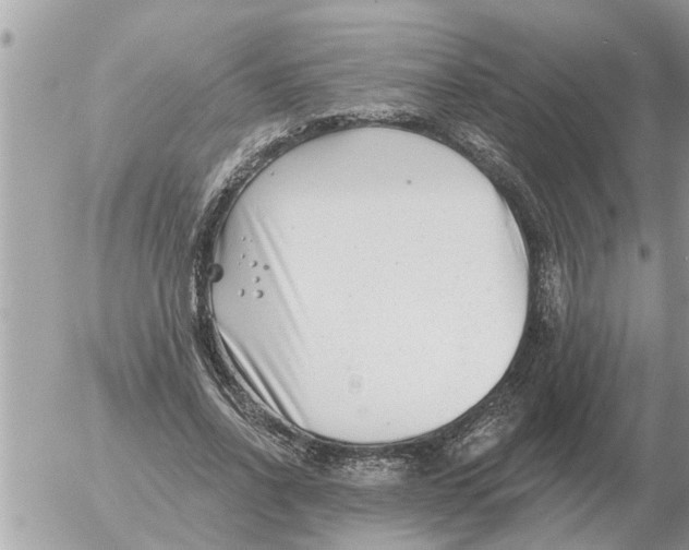 X0000054440734200508270012