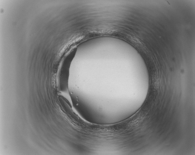 X0000054440735200508270012