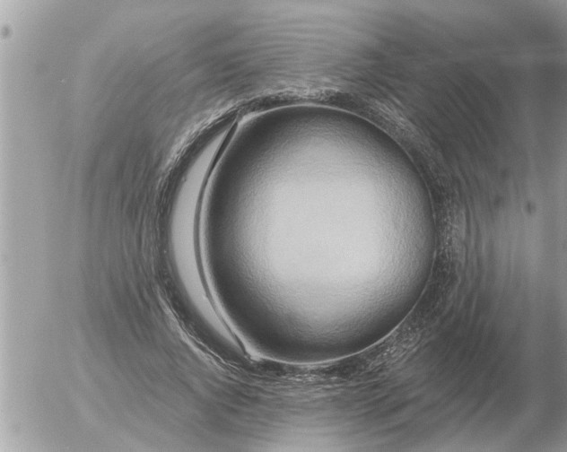 X0000054440736200508270012