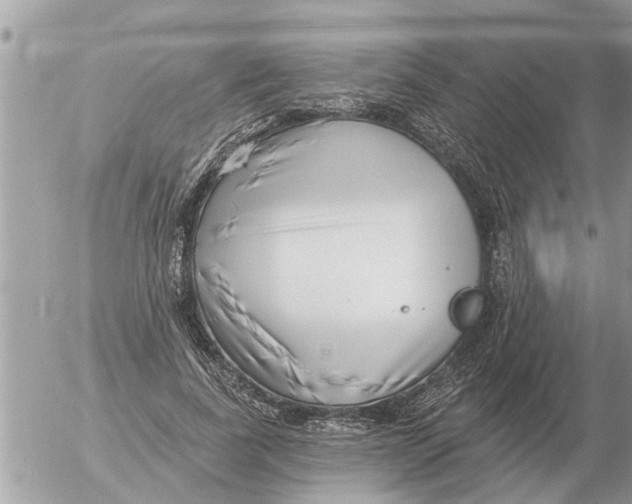 X0000054440739200508270012