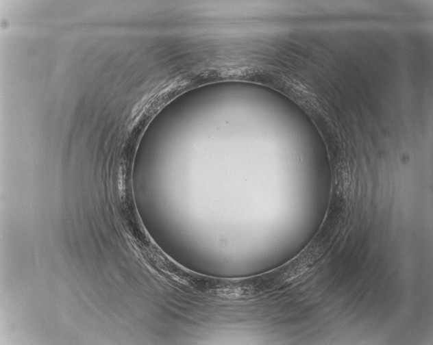 X0000054440740200508270012