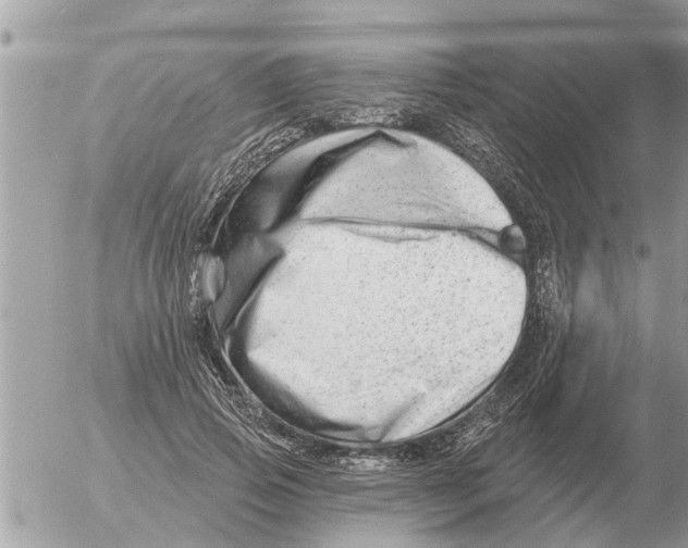 X0000054440741200508270012