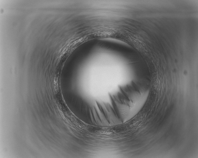 X0000054440743200508270012