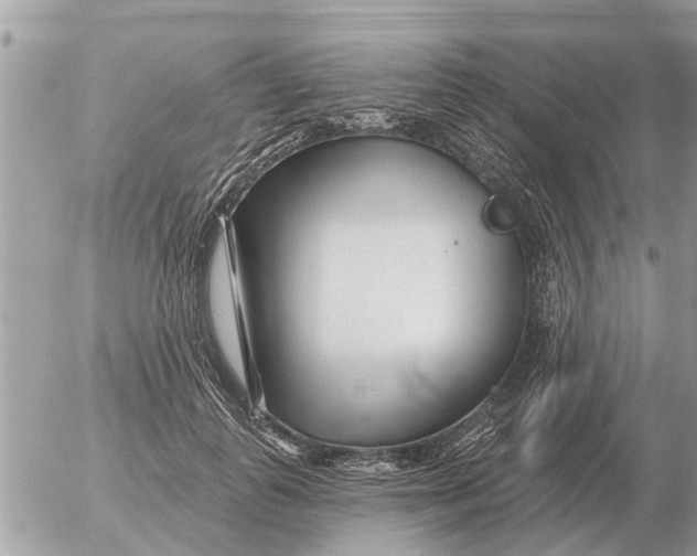 X0000054440747200508270012