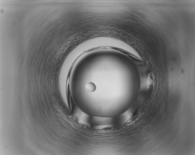 X0000054440750200508270012