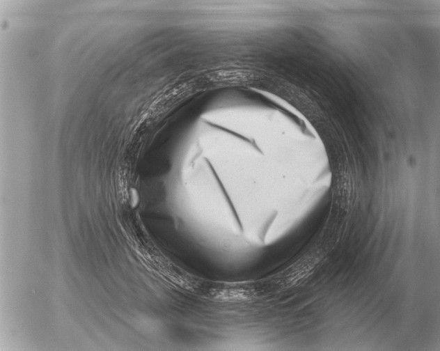 X0000054440751200508270012