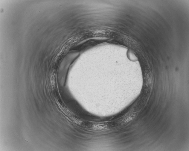 X0000054440753200508270012