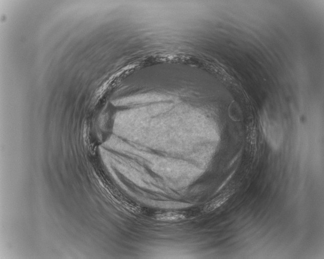 X0000054440754200508270012