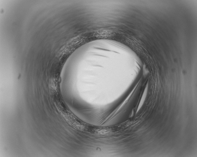 X0000054440755200508270012