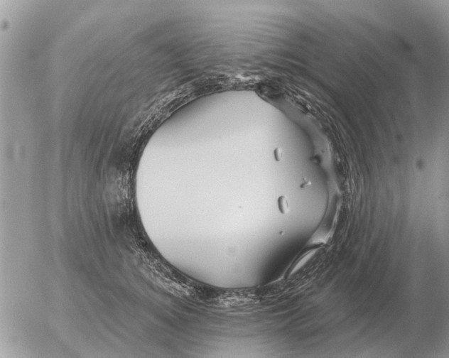 X0000054440756200508270012