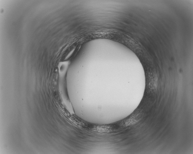 X0000054440758200508270012