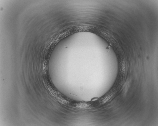 X0000054440759200508270012