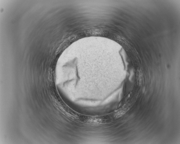 X0000054440760200508270012