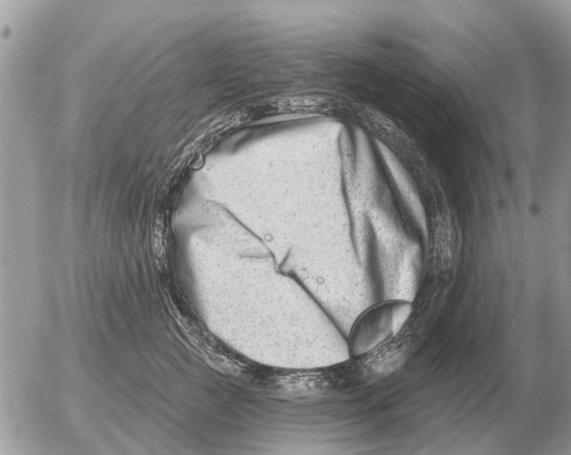 X0000054440761200508270012